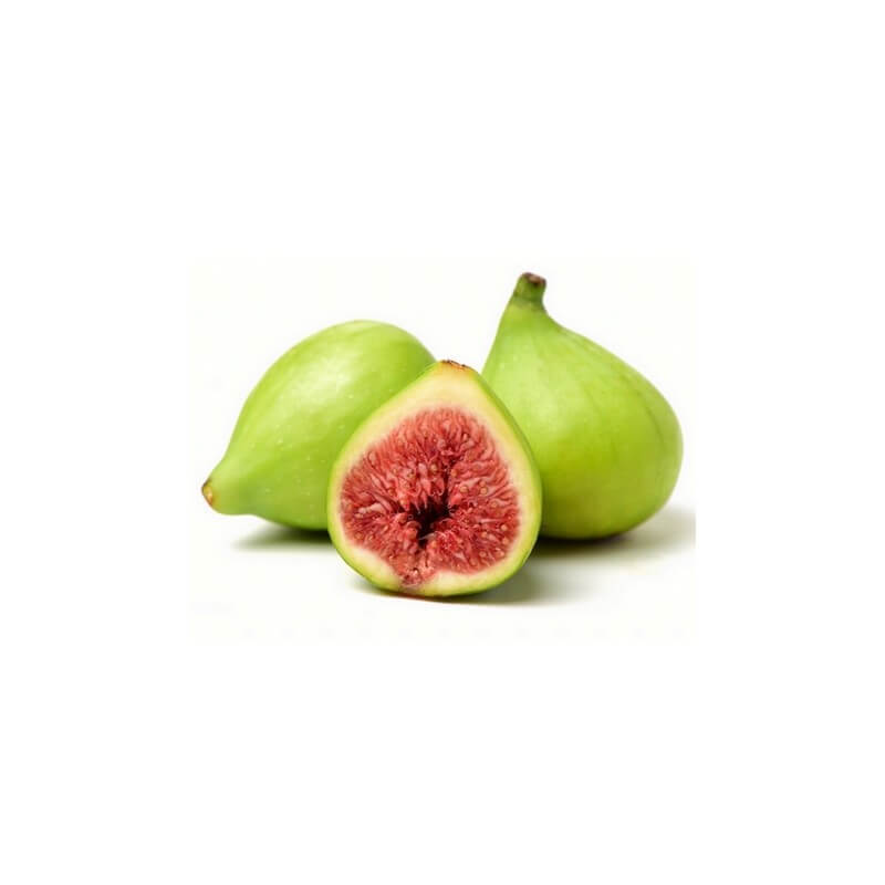 figuier-macerat-de-bourgeons-bio