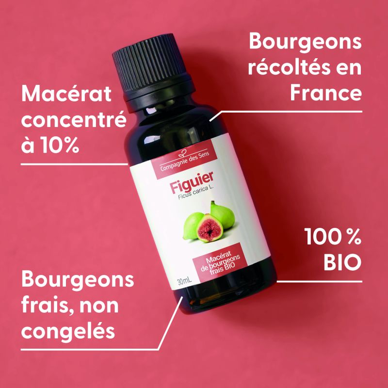 figuier-macerat-de-bourgeons-bio (4)