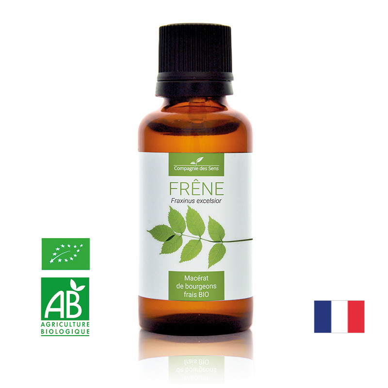 frene-macerat-de-bourgeons-bio (3)