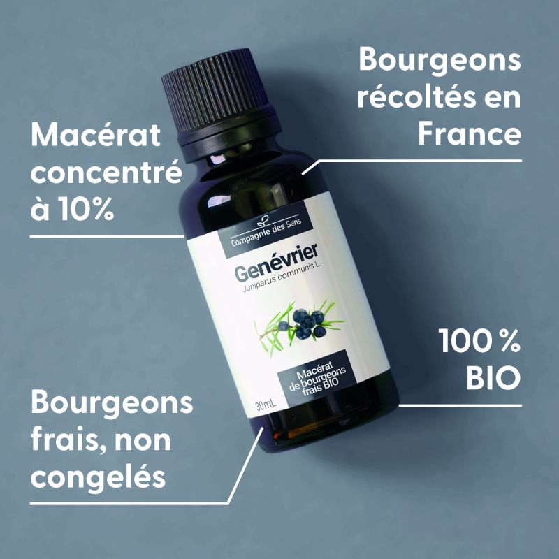 genevrier-macerat-de-bourgeons-bio (1)