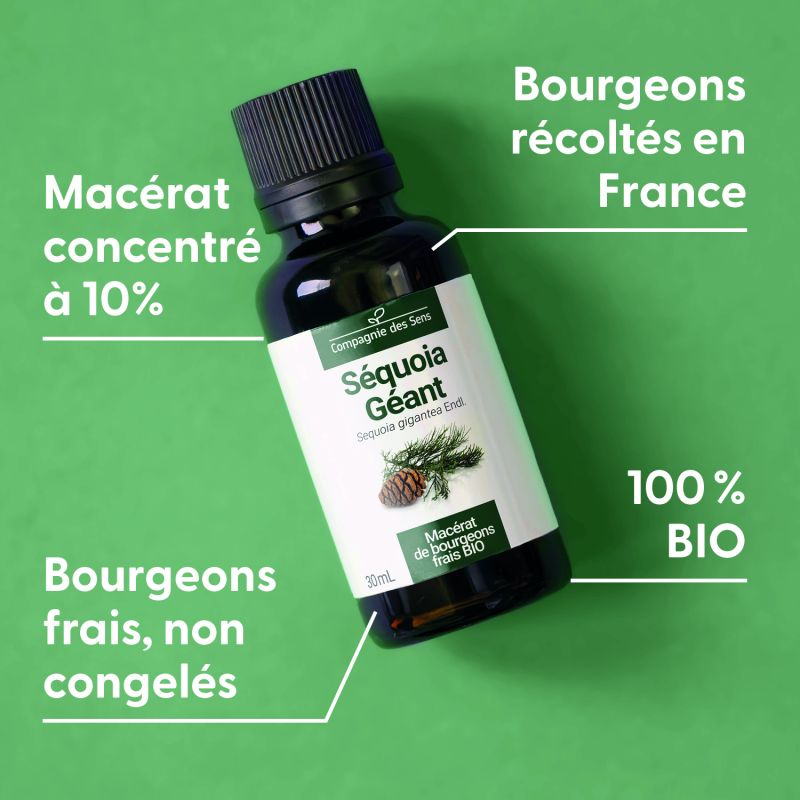 sequoia-geant-macerat-de-bourgeons-bio (1)
