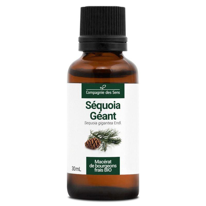 sequoia-geant-macerat-de-bourgeons-bio