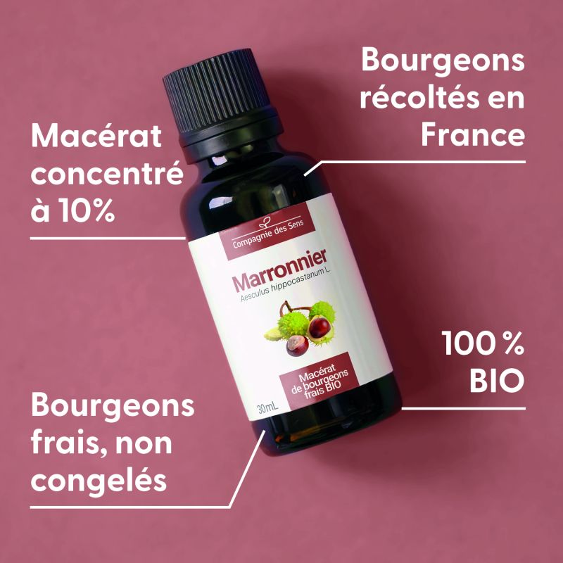 marronnier-macerat-de-bourgeons-bio (1)