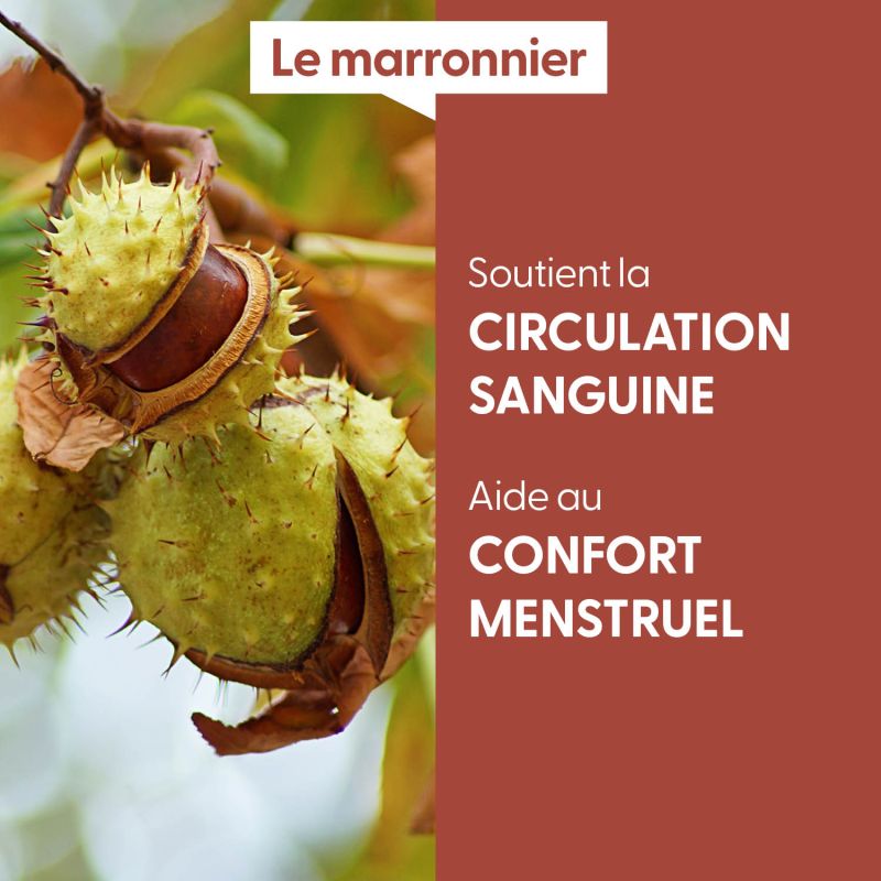 marronnier-macerat-de-bourgeons-bio (2)