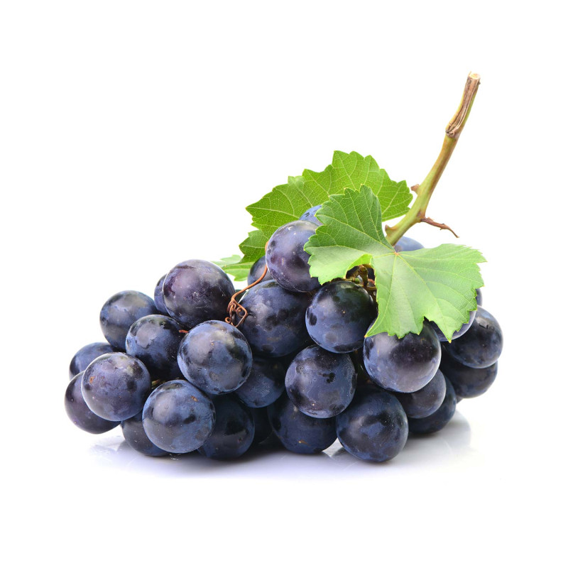 vigne-macerat-de-bourgeons-bio (4)