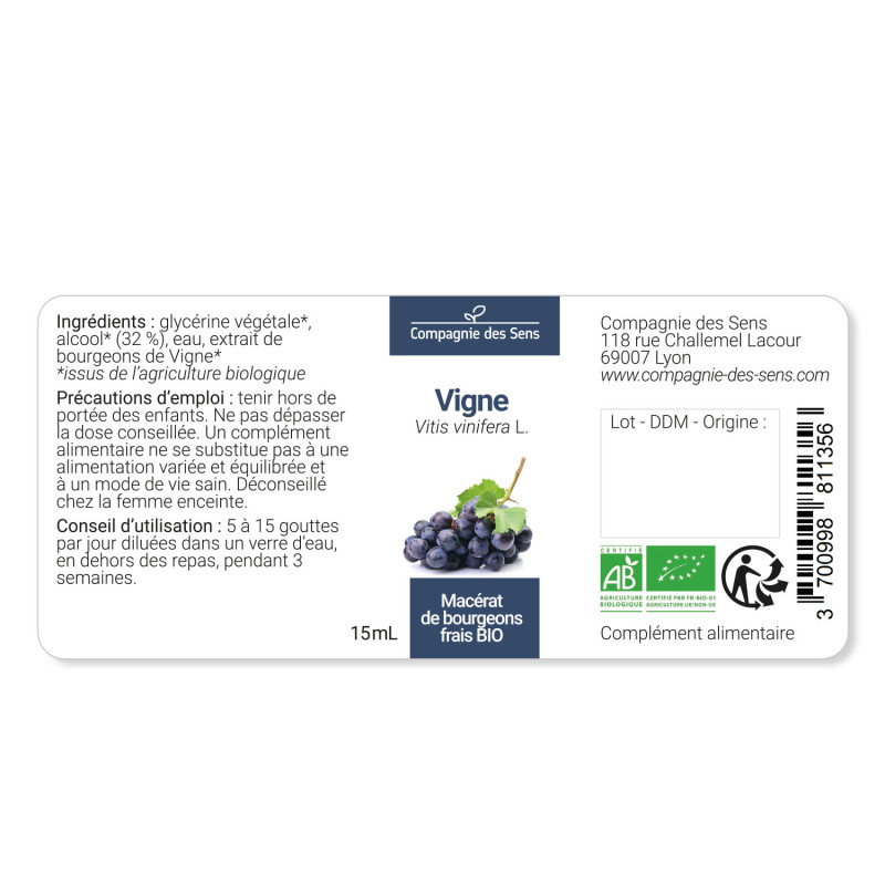 vigne-macerat-de-bourgeons-bio (5)