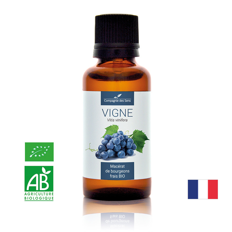 vigne-macerat-de-bourgeons-bio