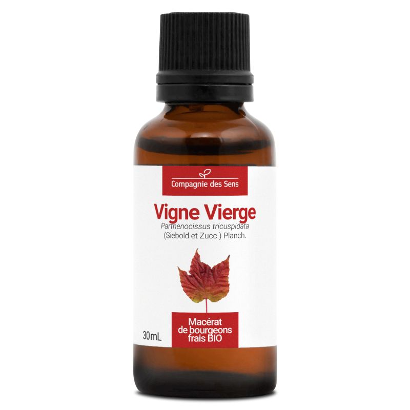 vigne-vierge-macerat-de-bourgeons-bio