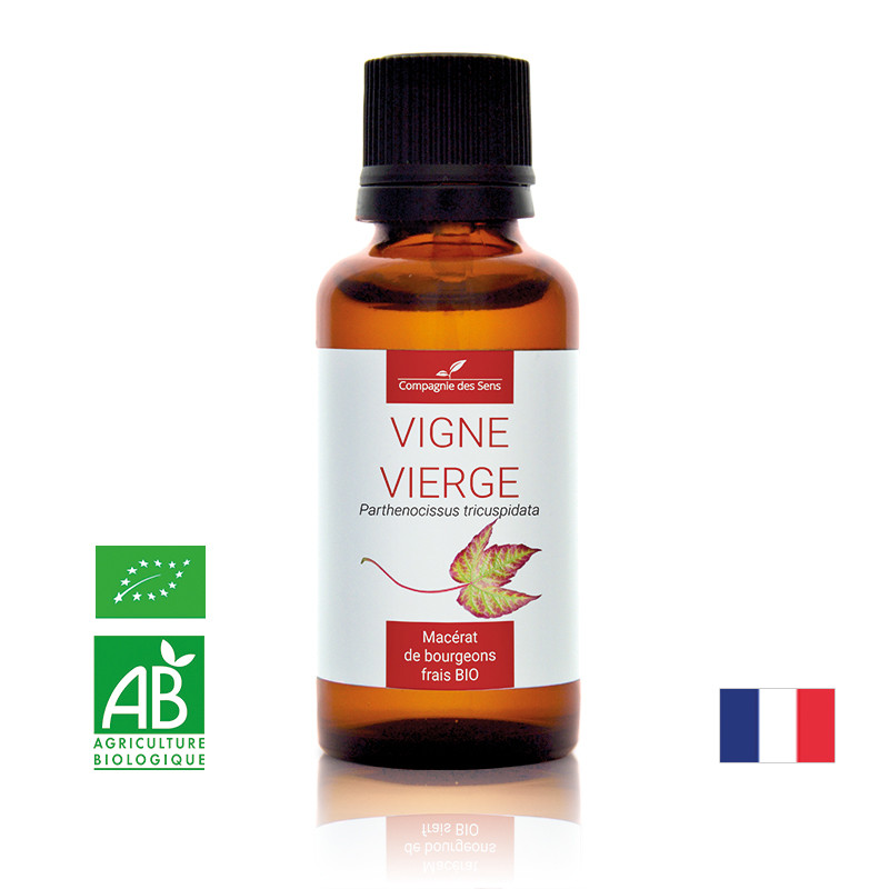 vigne-vierge-macerat-de-bourgeons-bio (5)
