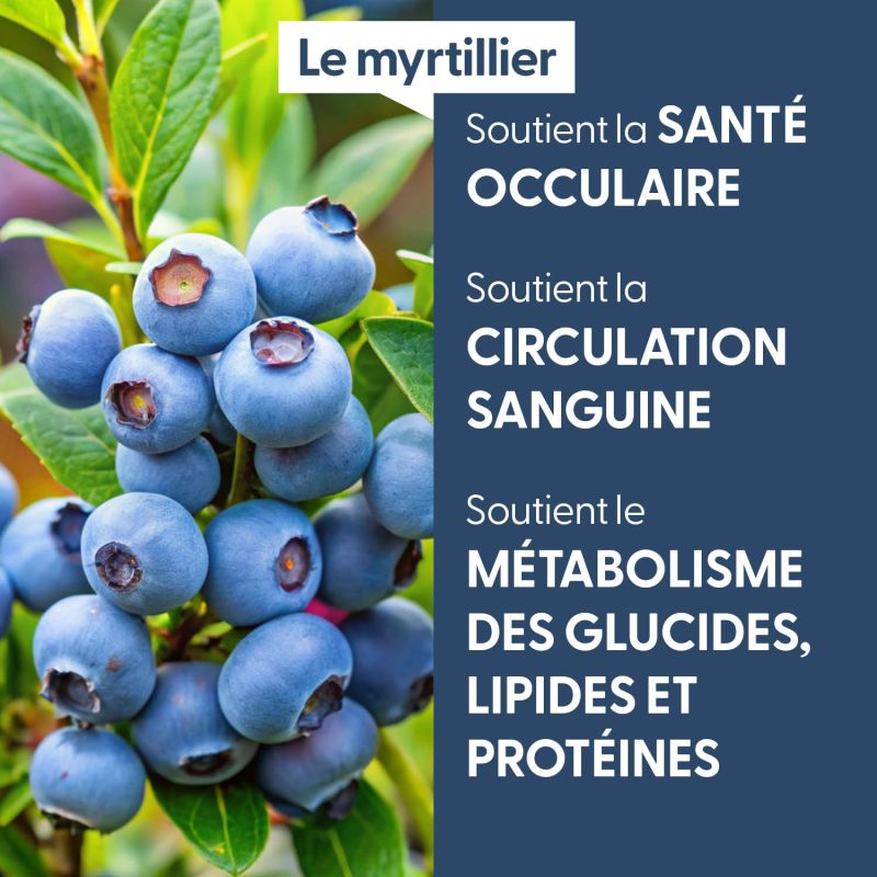 myrtillier-macerat-de-bourgeons-bio (2)