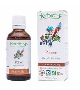 poirier-bourgeon-bio-gemmotherapie