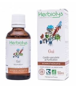 gui-bourgeon-bio-gemmotherapie