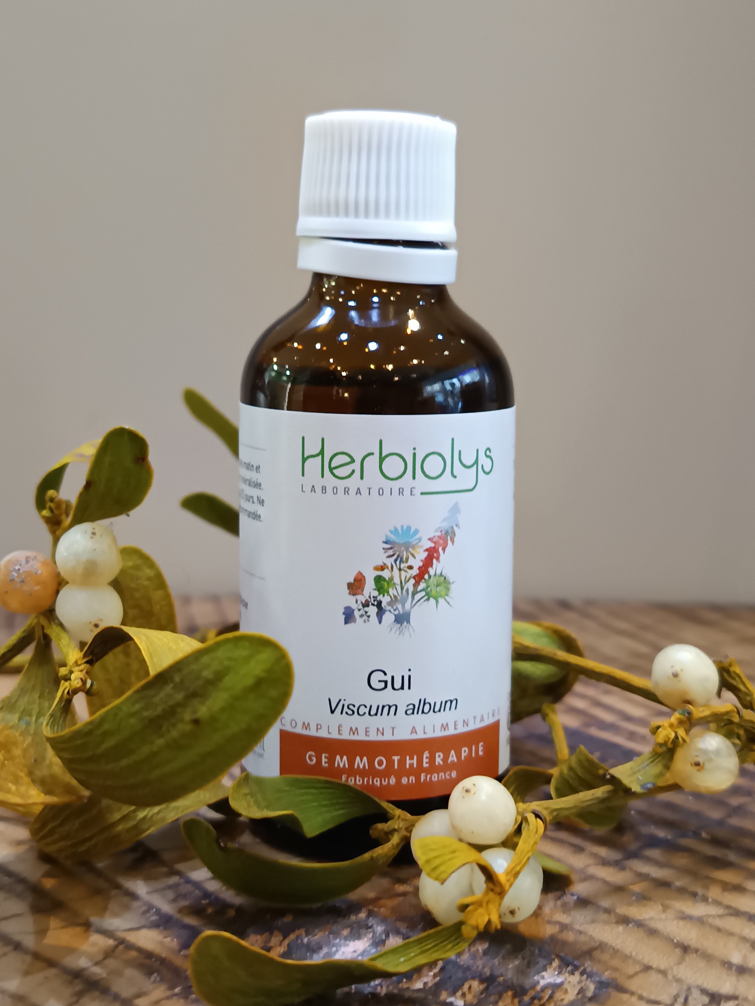 00002065-02 - Macérât de Gui 50 ml