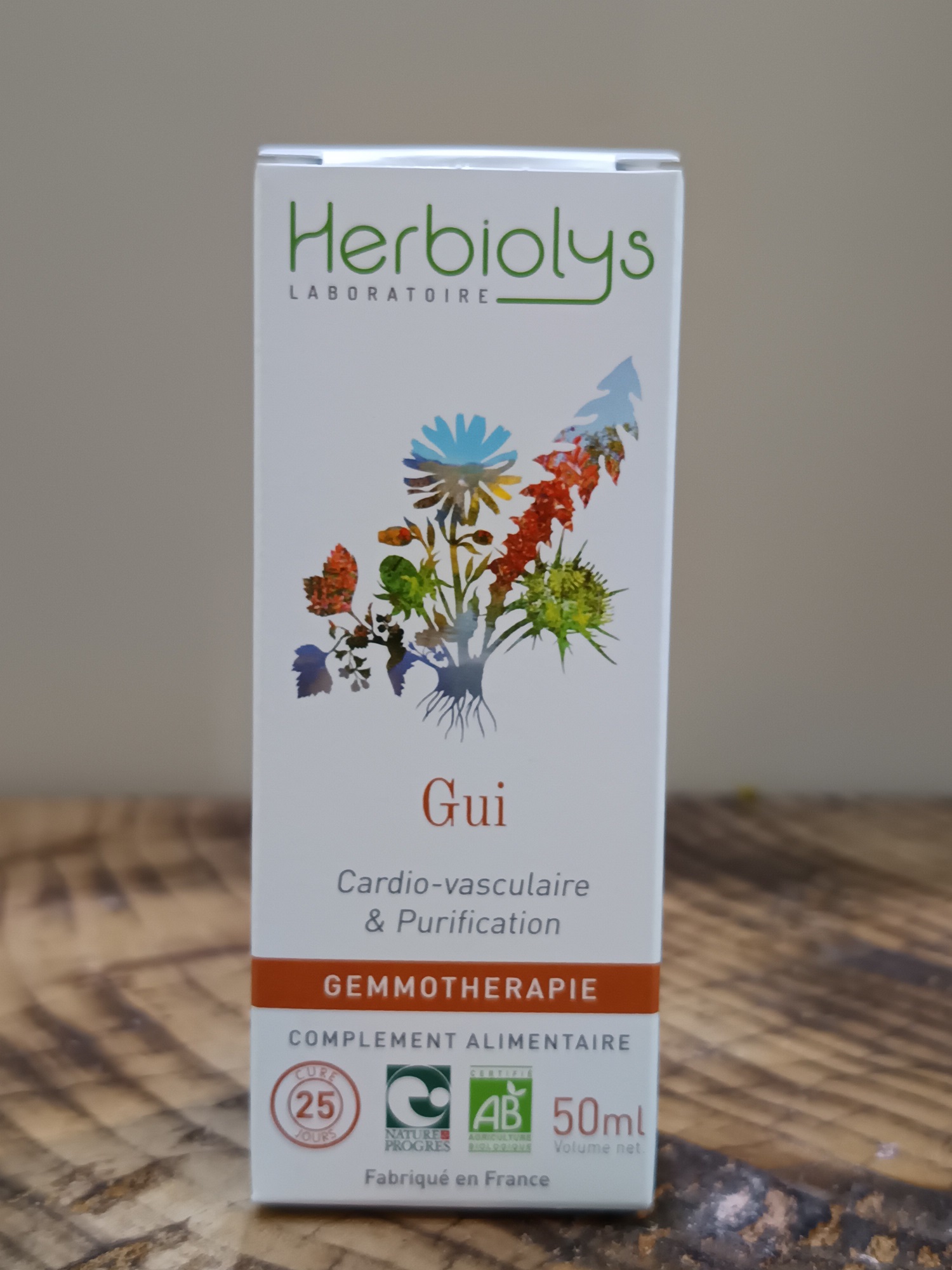 00002065-03 - Macérât de Gui 50 ml