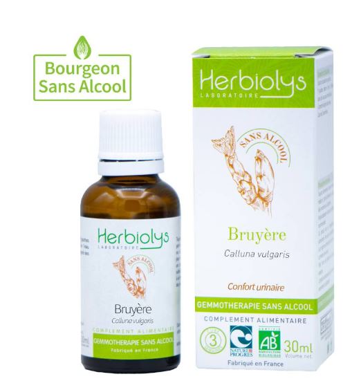 00007131 - Macérat Bruyère sans alcool 30 ml