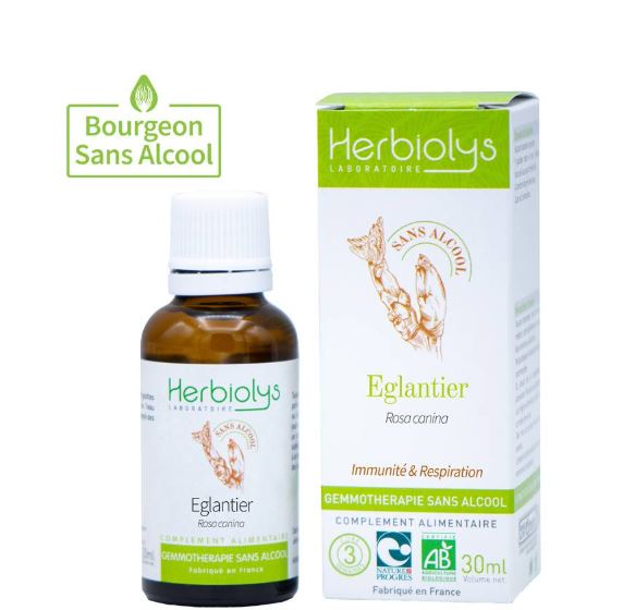00005617 - Macérat Eglantier sans alcool 30 ml