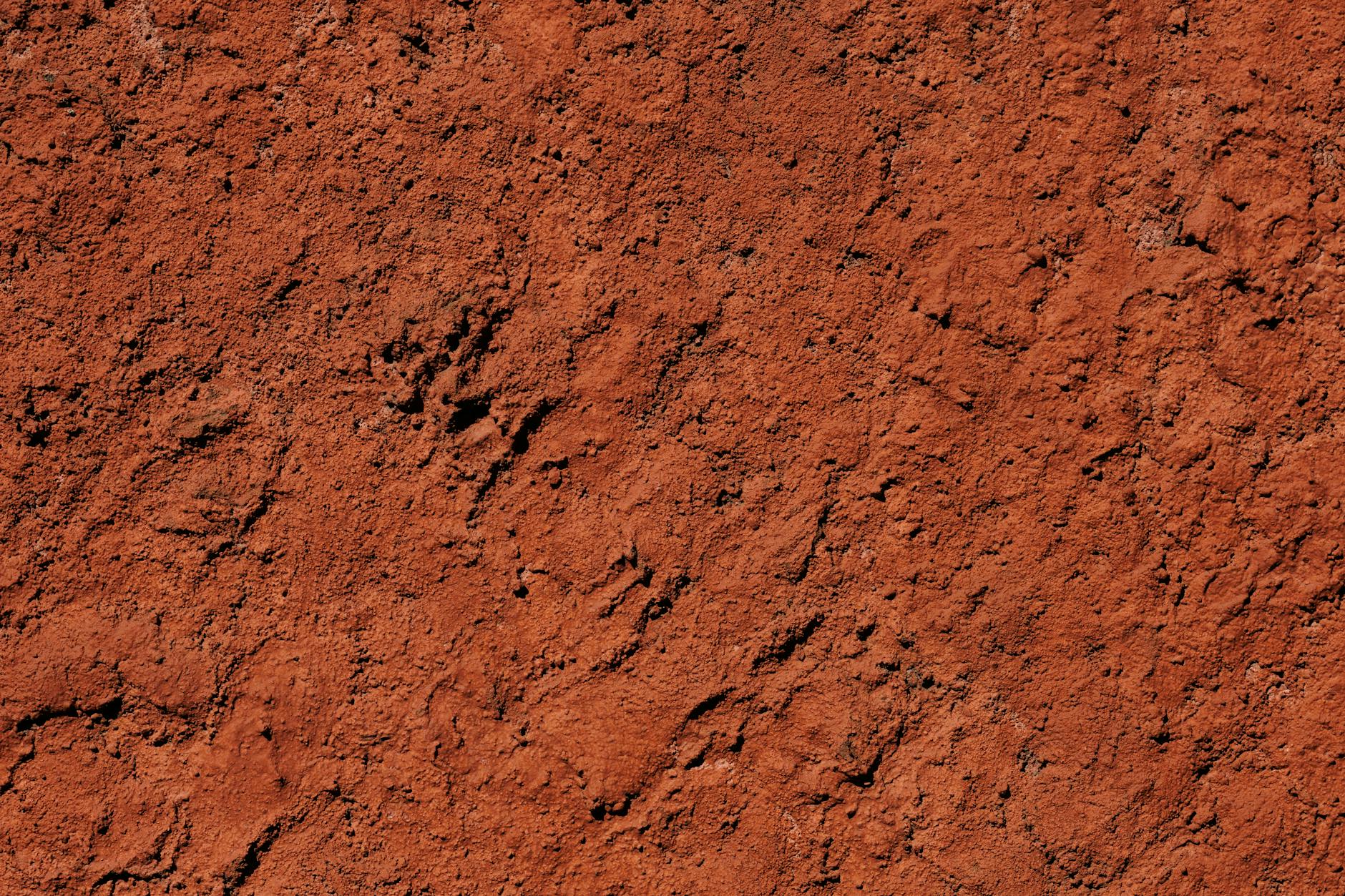 Photo détaillée dune surface dargile rouge rugueuse mettant en valeur sa texture naturelle