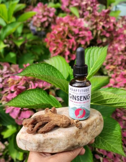 GI30-04- Teinture Ginseng Rouge 30 ml
