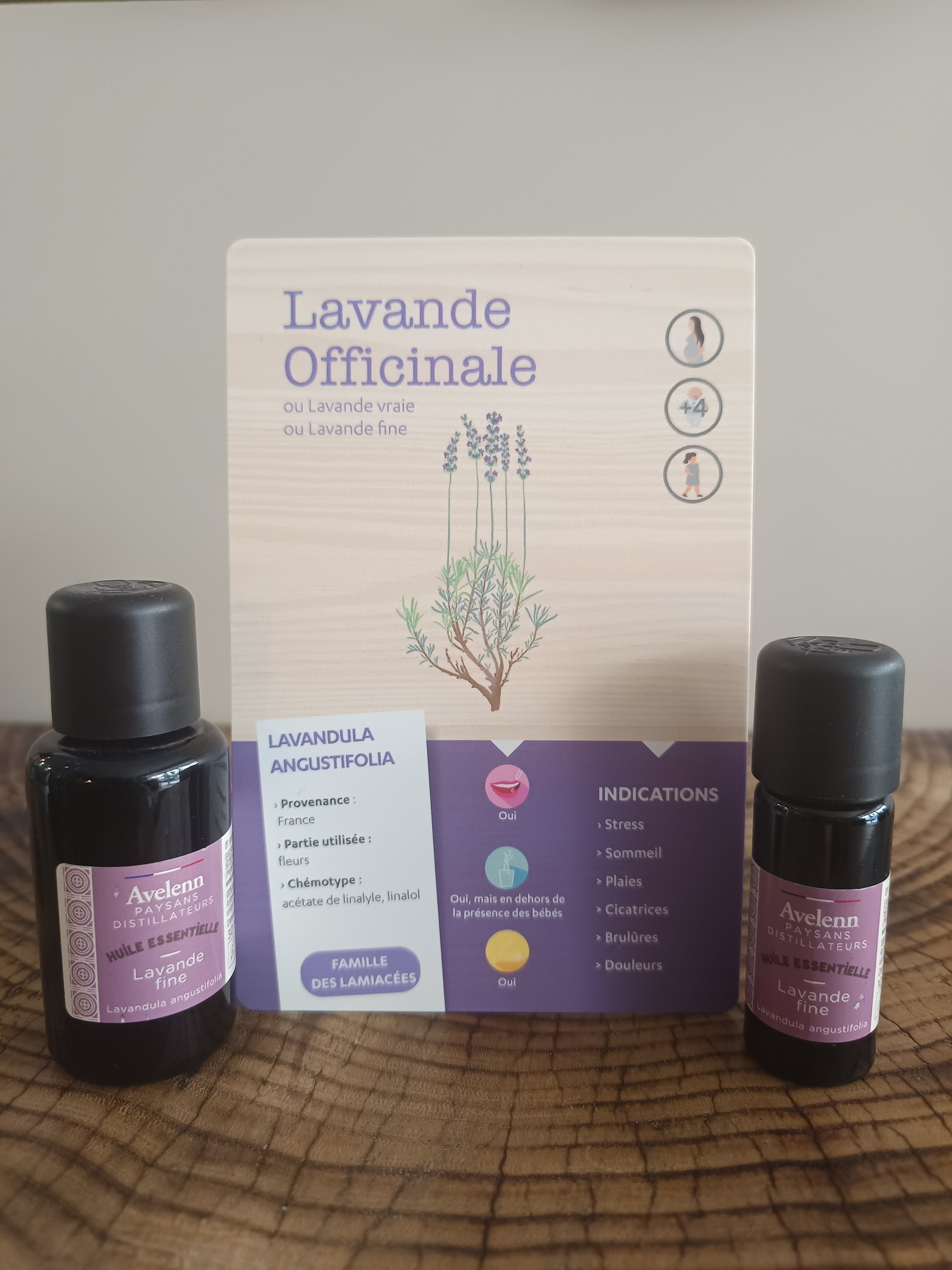ACC006-02 - Carte Lavande officinale