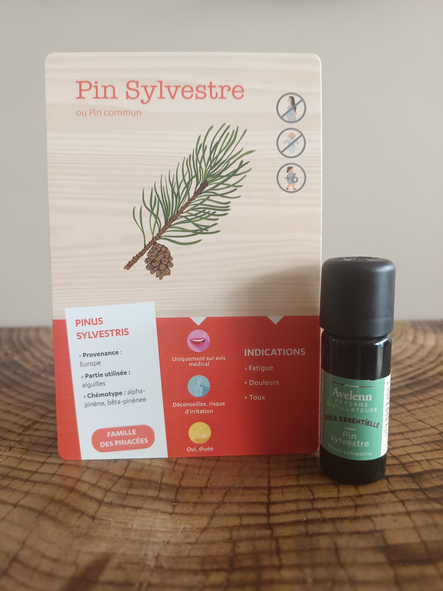 ACC008-02 - Carte Pin Sylvestre