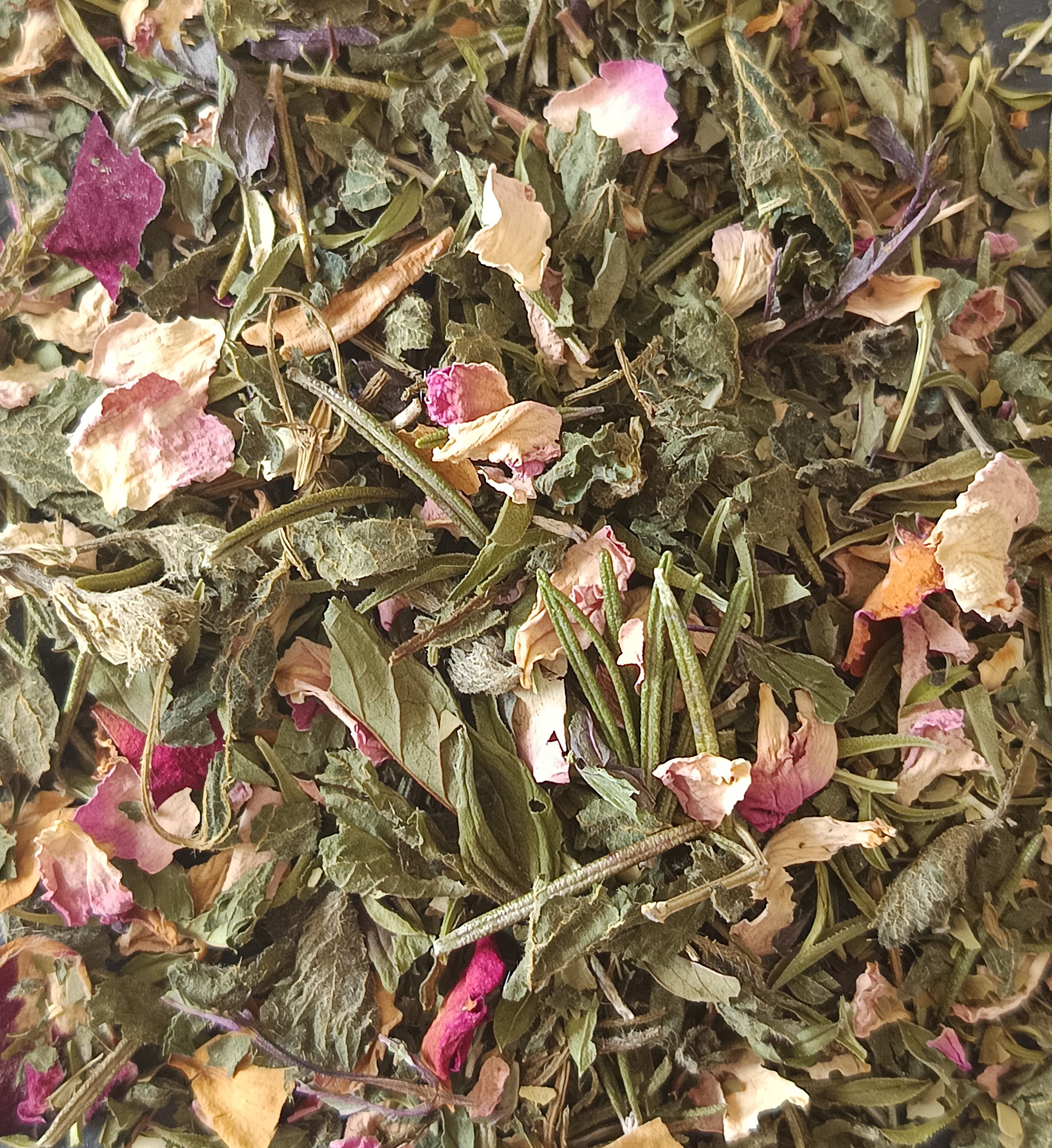 TIS001-03 - Tisane Tonique 20g