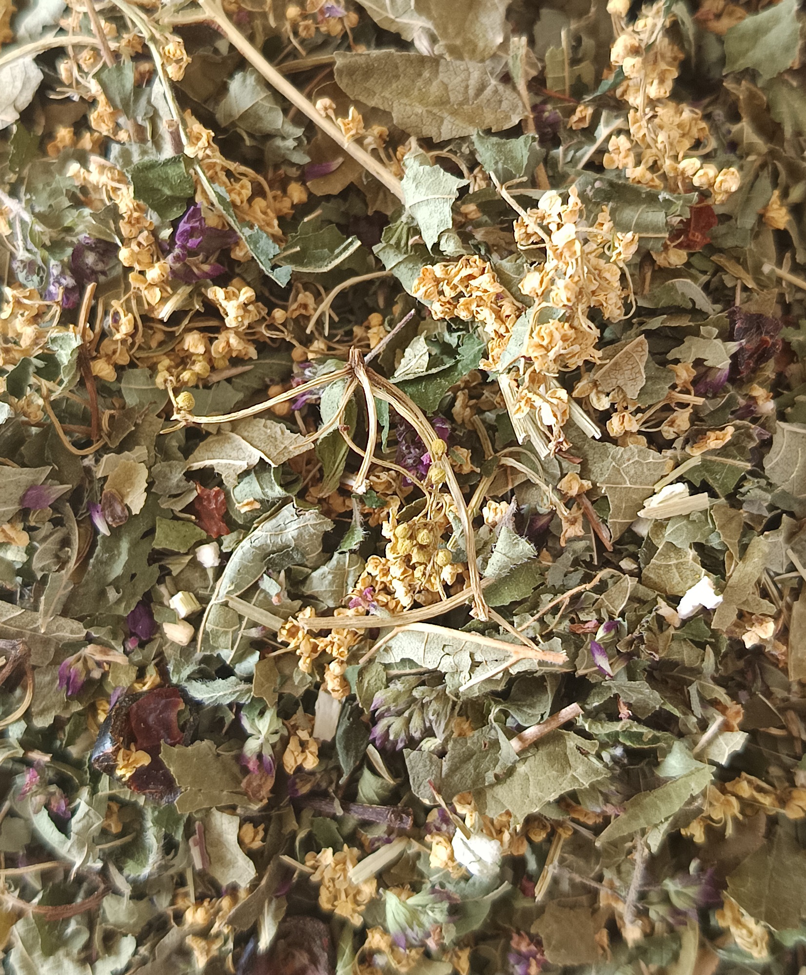 TIS003-03 - Tisane Immunité 20g