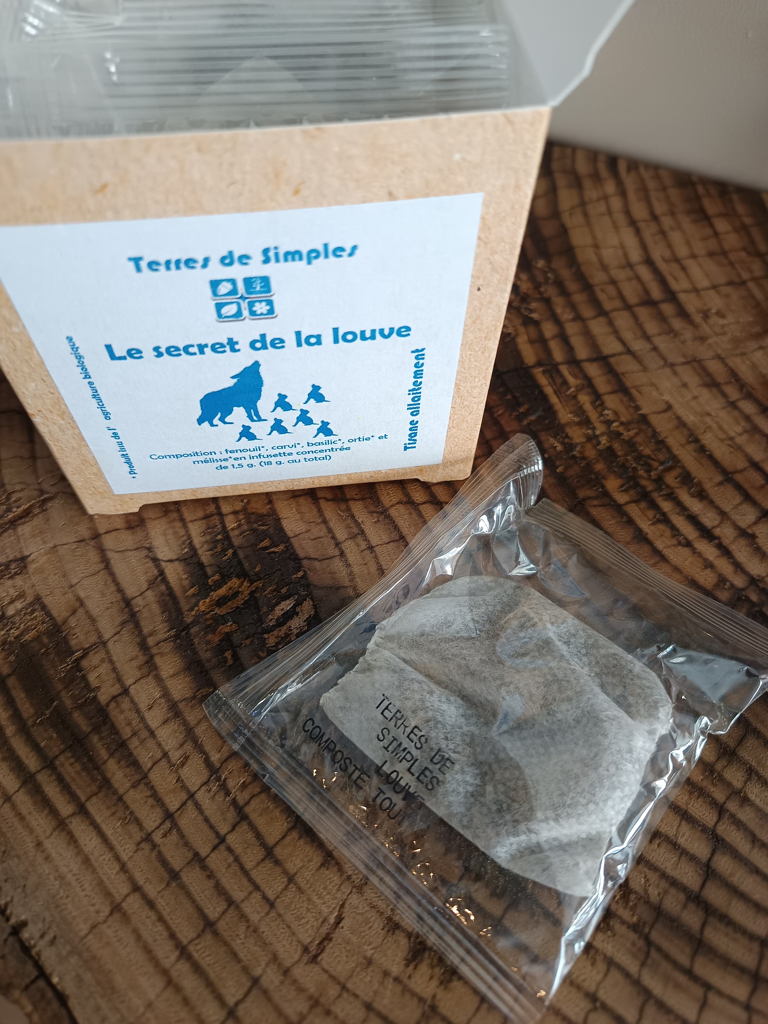 INF9-03 - Le Secret de la Louve