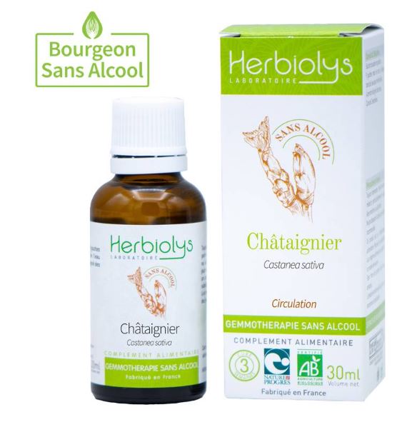00005616 - Gemmo Chataignier sans alcool