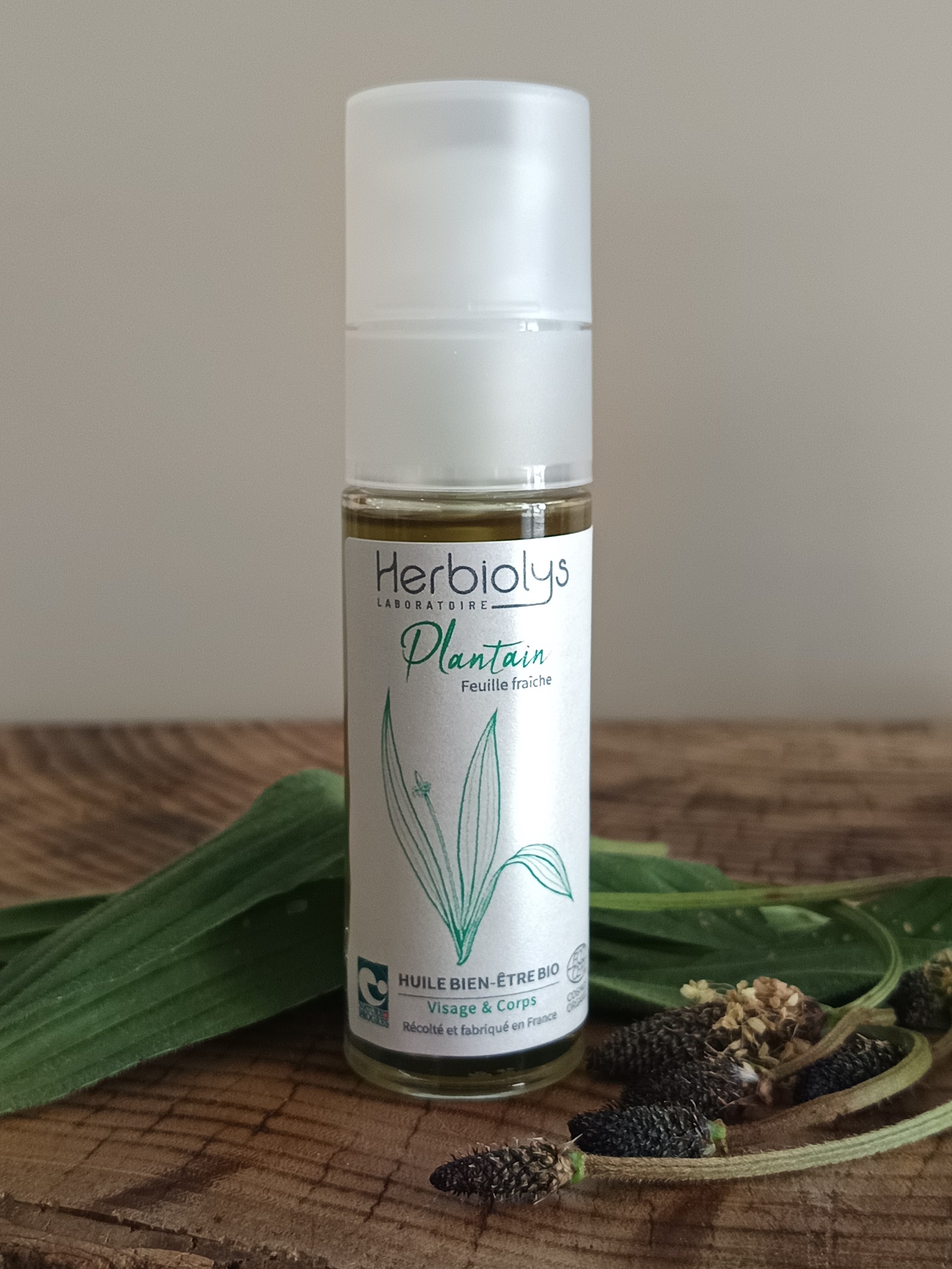 00004758-04 - Macérat Plantain 30 ml