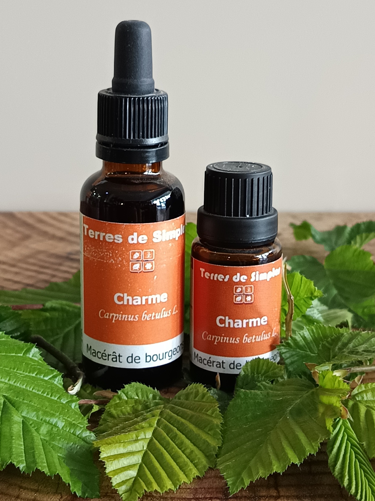 Gemmothérapie Charme