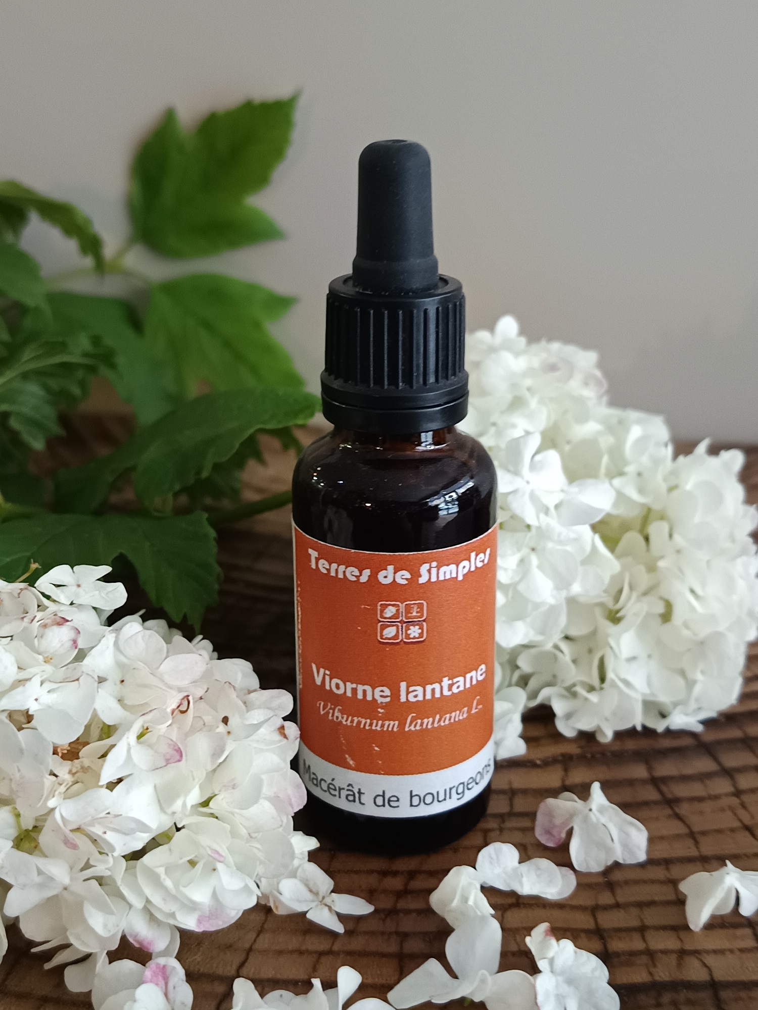 GEM79-04 - Gemmothérapie Viorne 30 ml