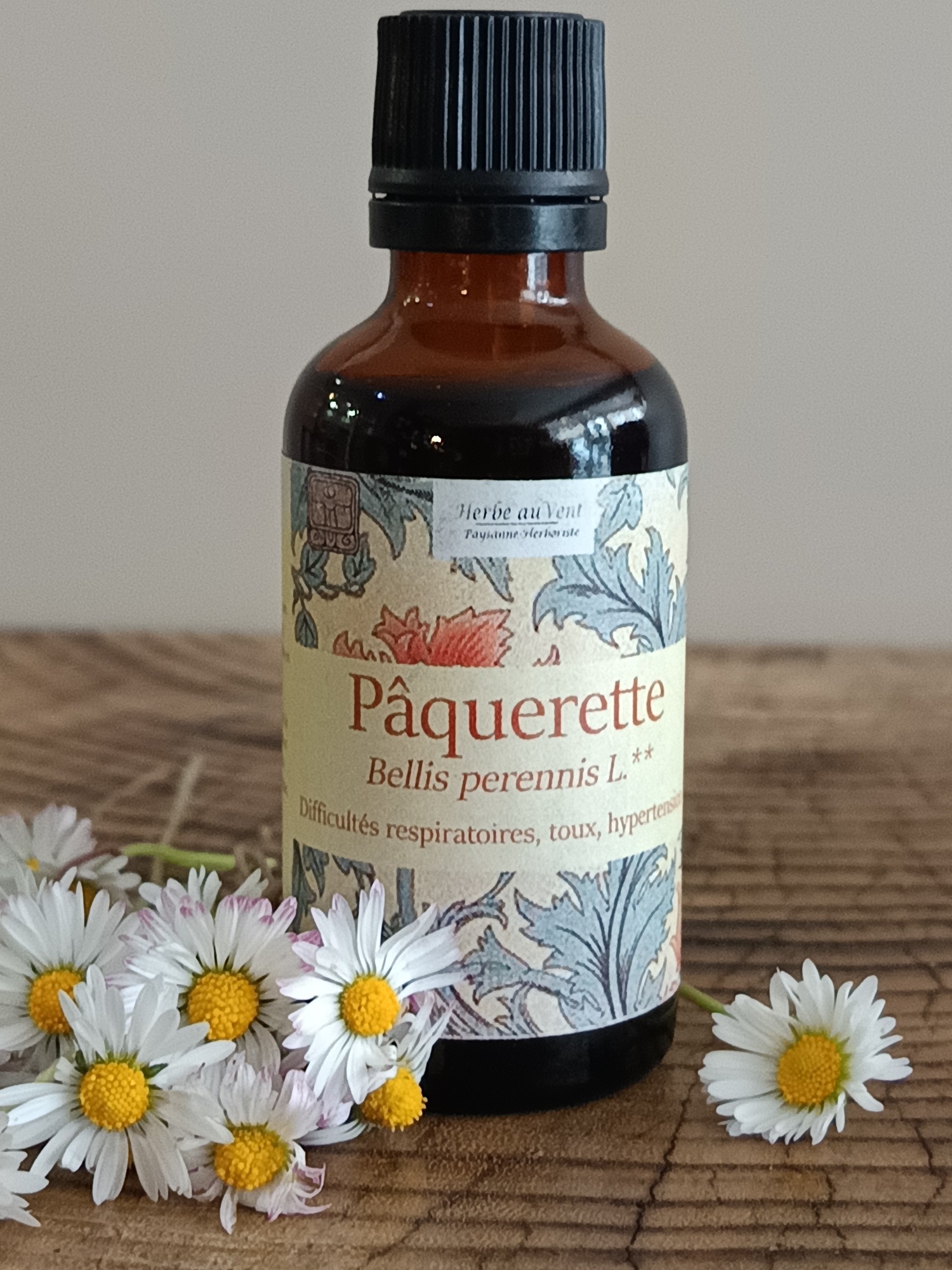 TMS51-02 - TM Pâquerette