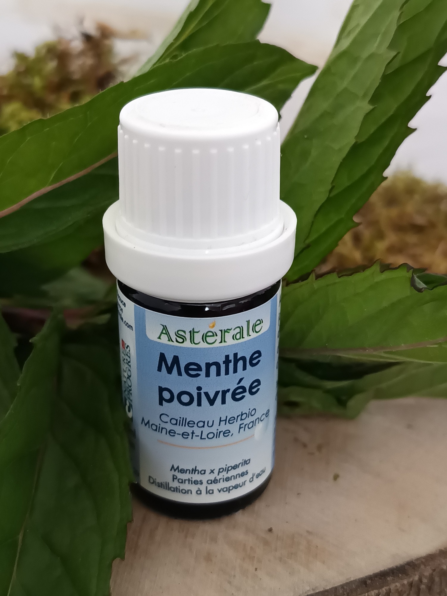 GMF5-01 - HE Menthe poivrée 5 ml