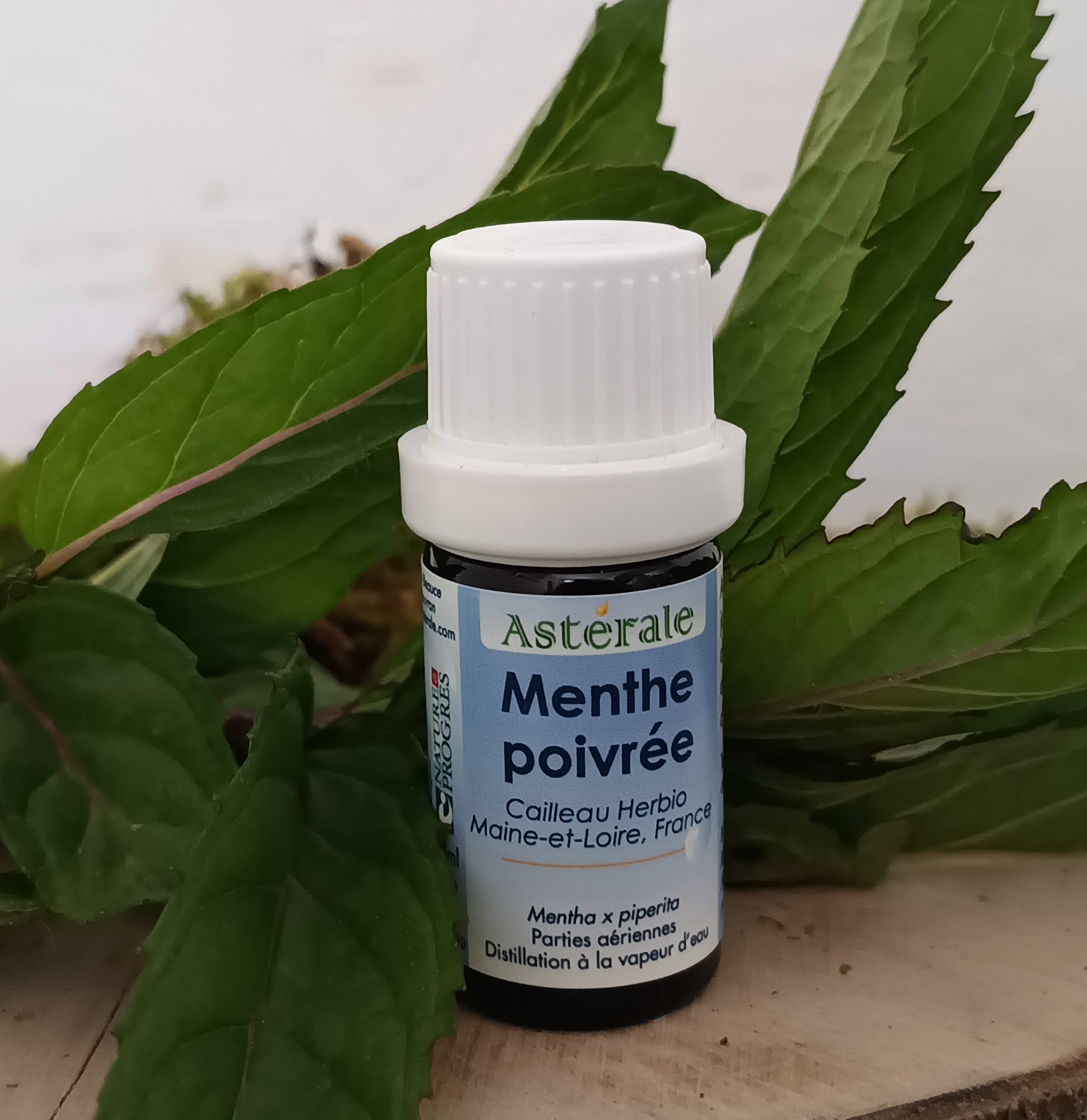GMF5 - HE Menthe poivrée 5 ml