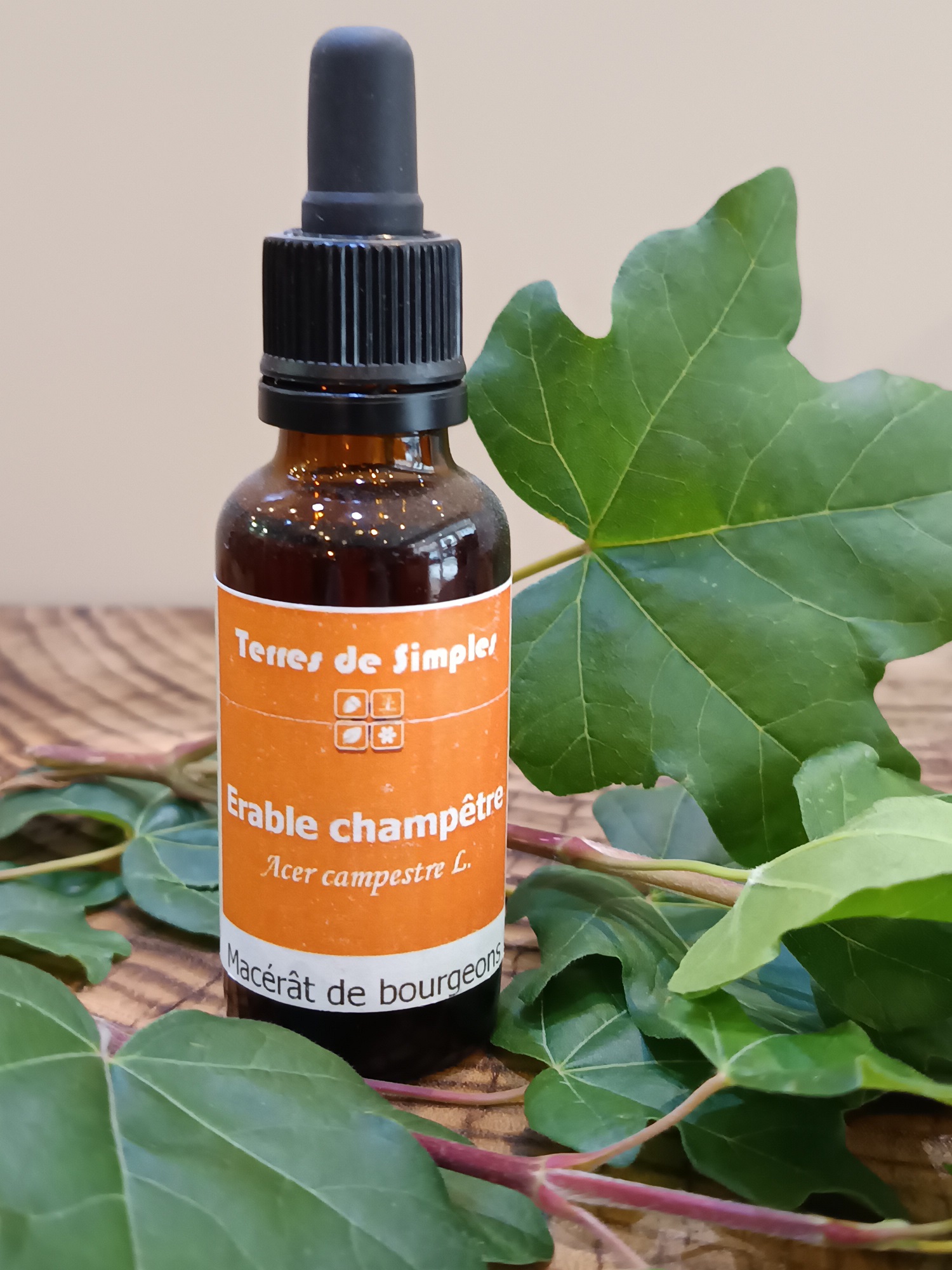 GEM42-01 - Gemmothérapie Erable 30 ml