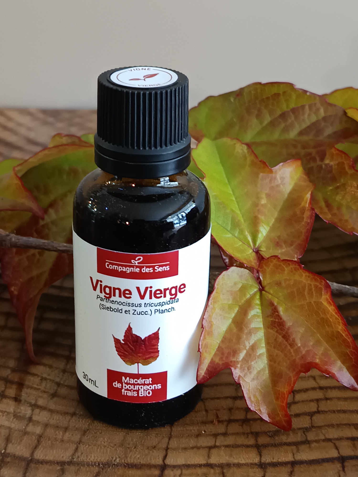 GEM78-1-1 - Gemmo Vigner Vierge