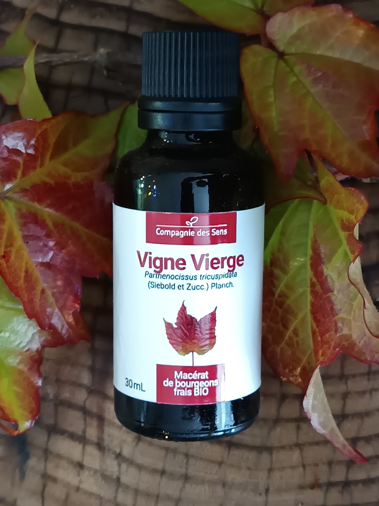 GEM78-1-2 - Gemmo Vigner Vierge