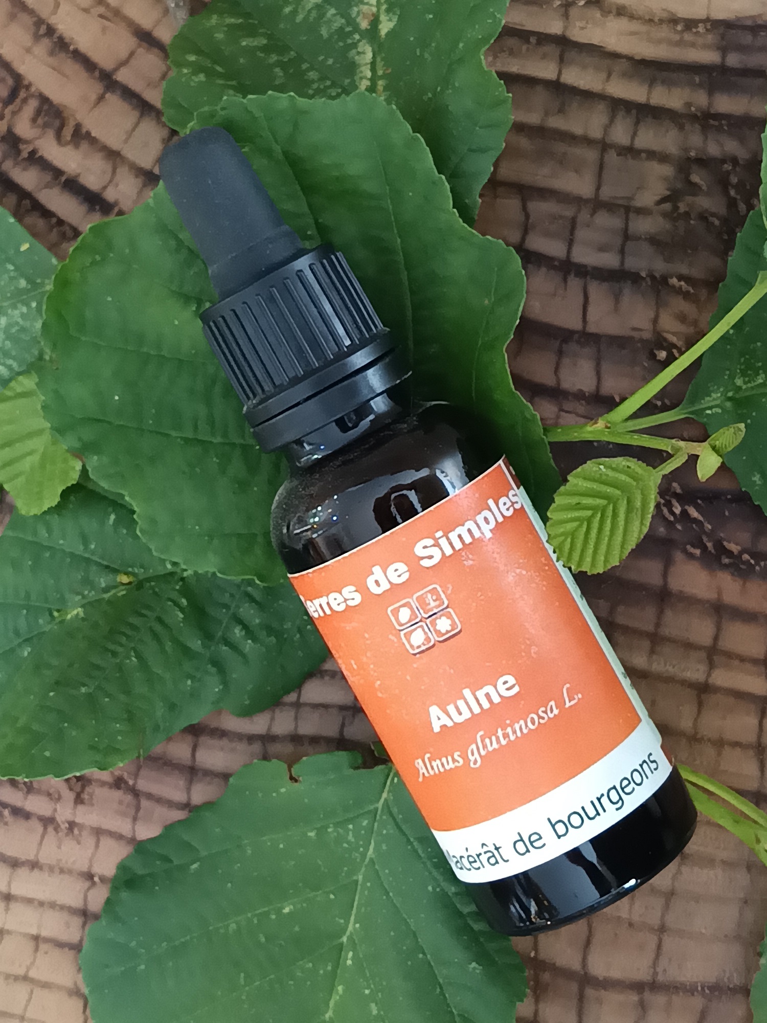 GEM32-2 - Gemmothérapie Aulne 30 ml