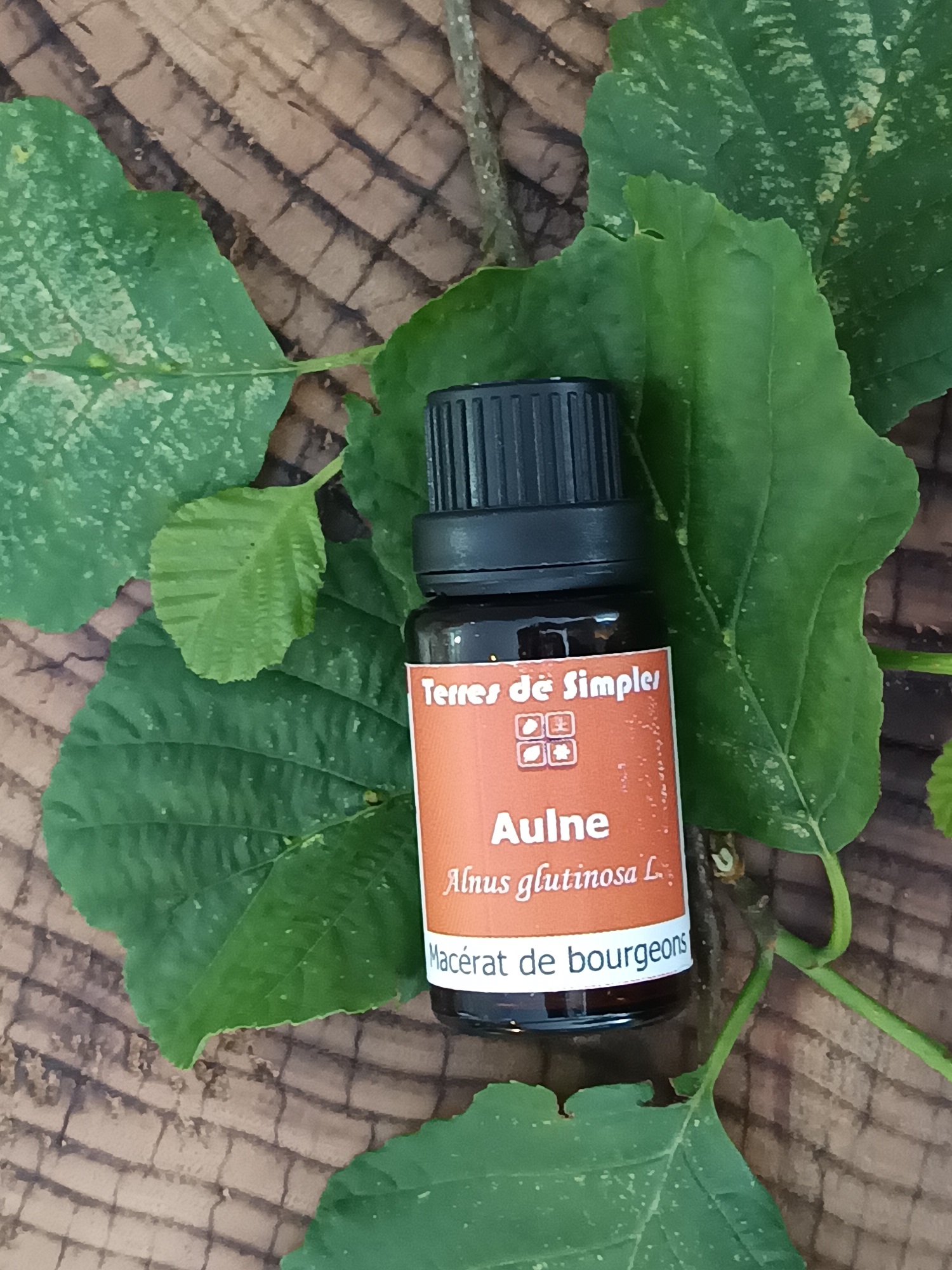 GEM2-2 - Gemmothérapie Aulne 15 ml