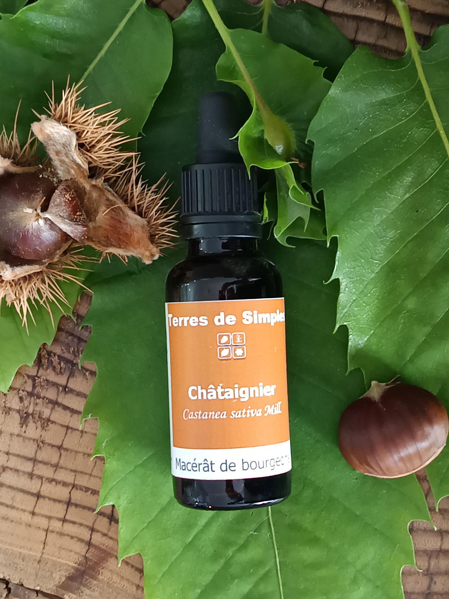 GEM38-3 - Gemmothérapie Chataignier 30 ml