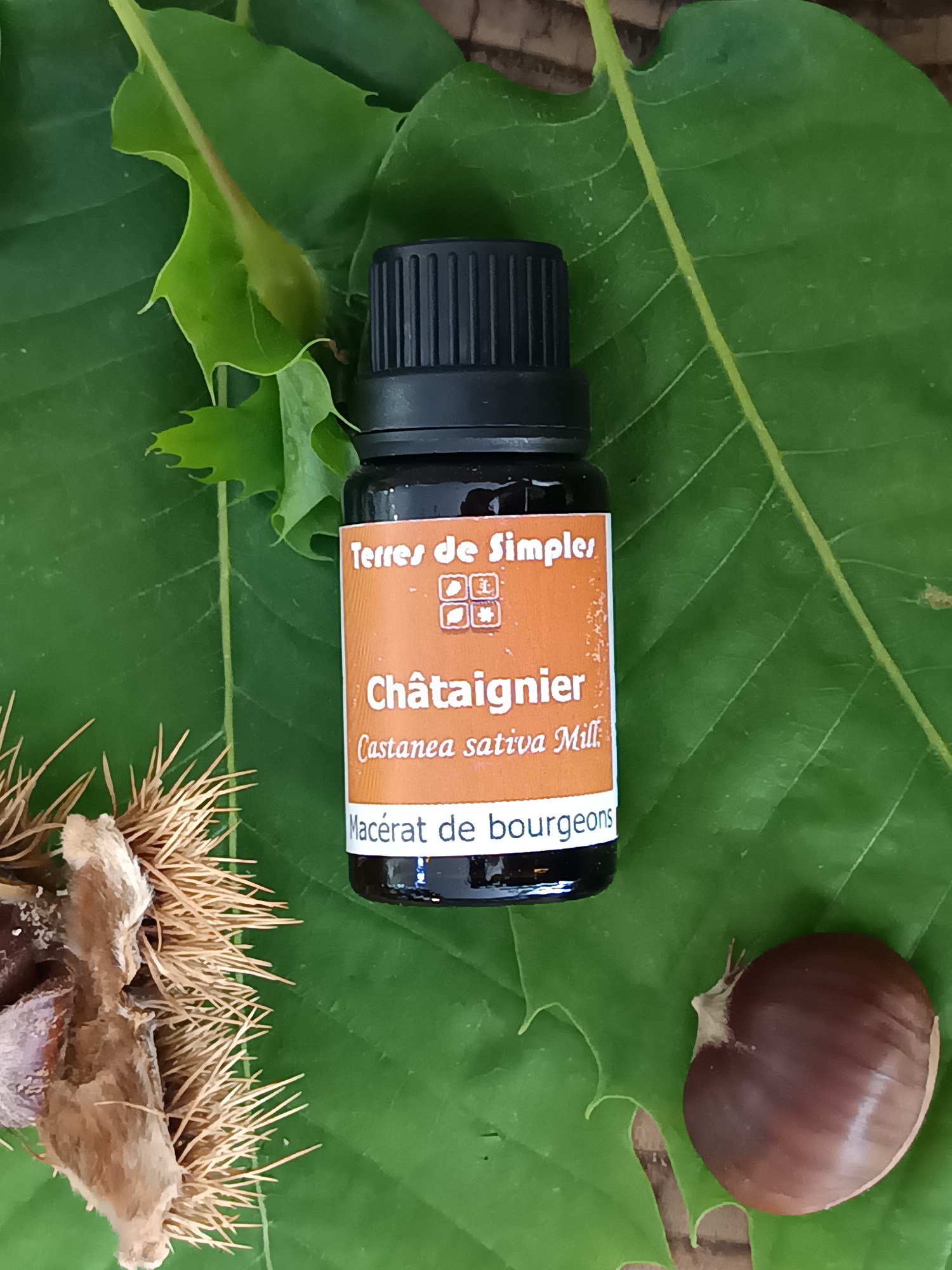 GEM5-2 - Gemmothérapie Chataignier 15 ml