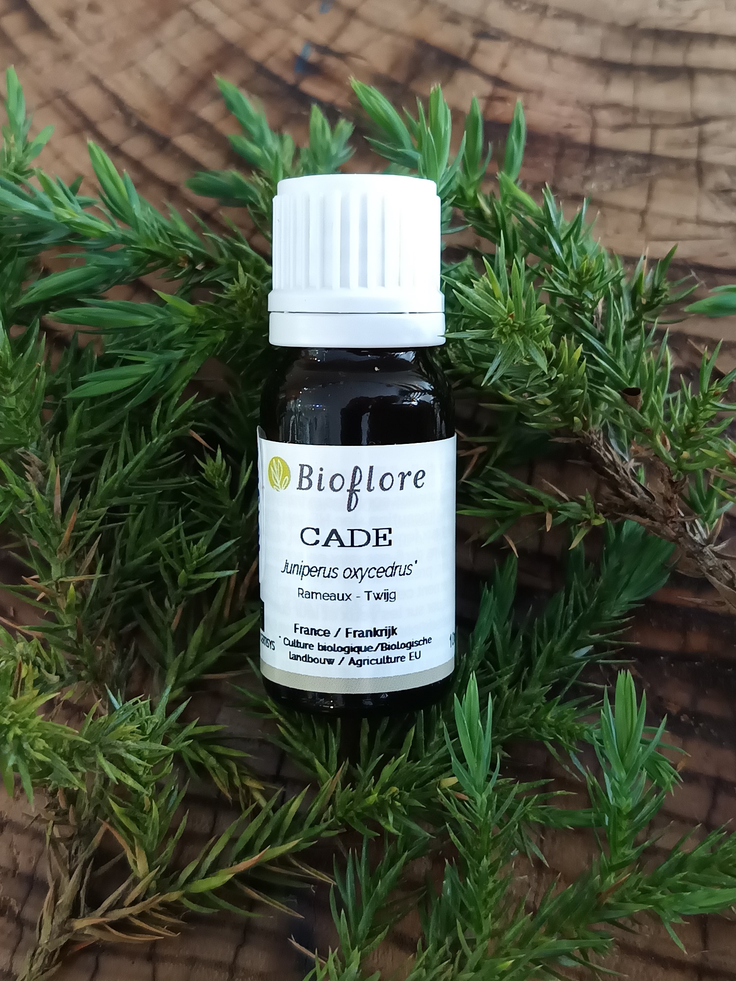 HEJUOXB10-04 - HE Cade 10 ml