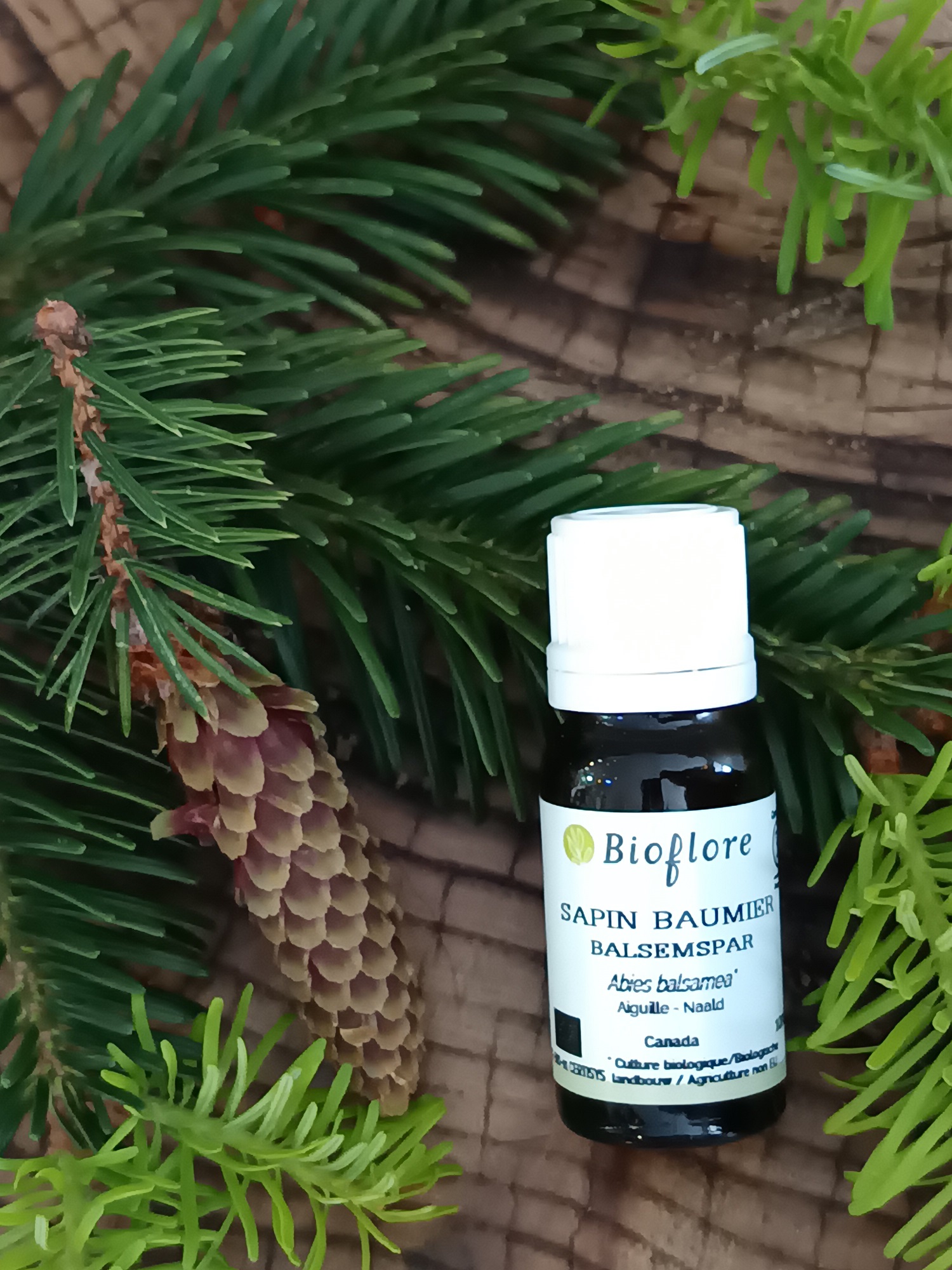 HEABBA10-04 - HE Sapin Baumier