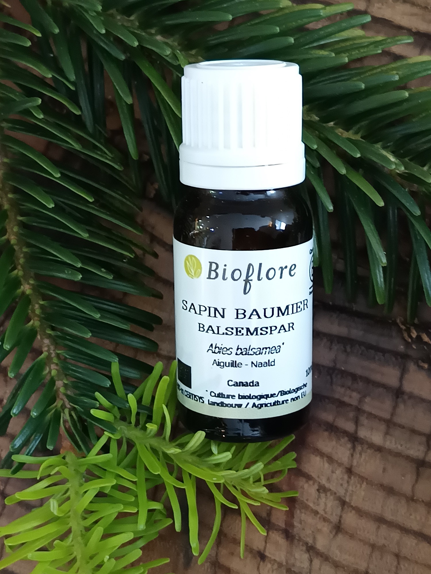 HEABBA10-03 - HE Sapin Baumier