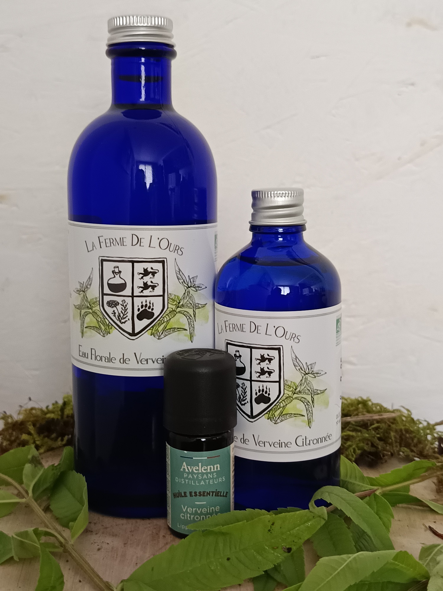 Verveine Citronnée HE et HA