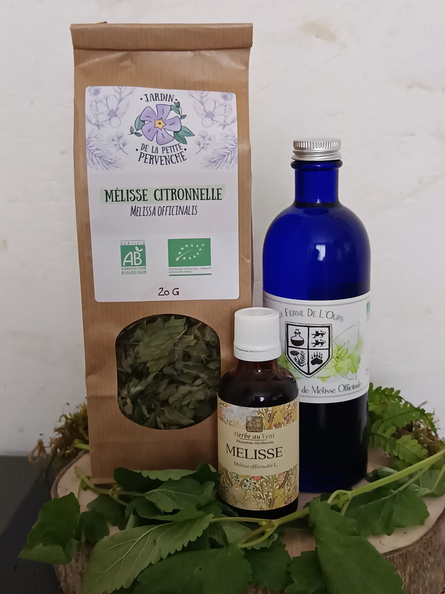 Mélisse Citronnée