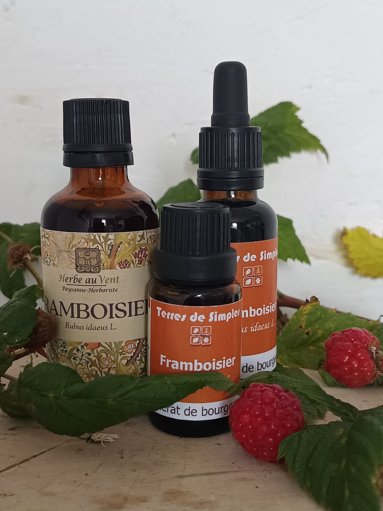 Framboisier