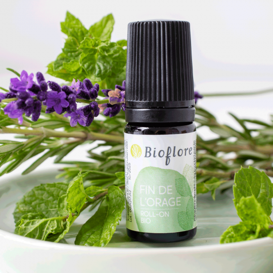 OLFATETB5-03 - Fin de lOrage