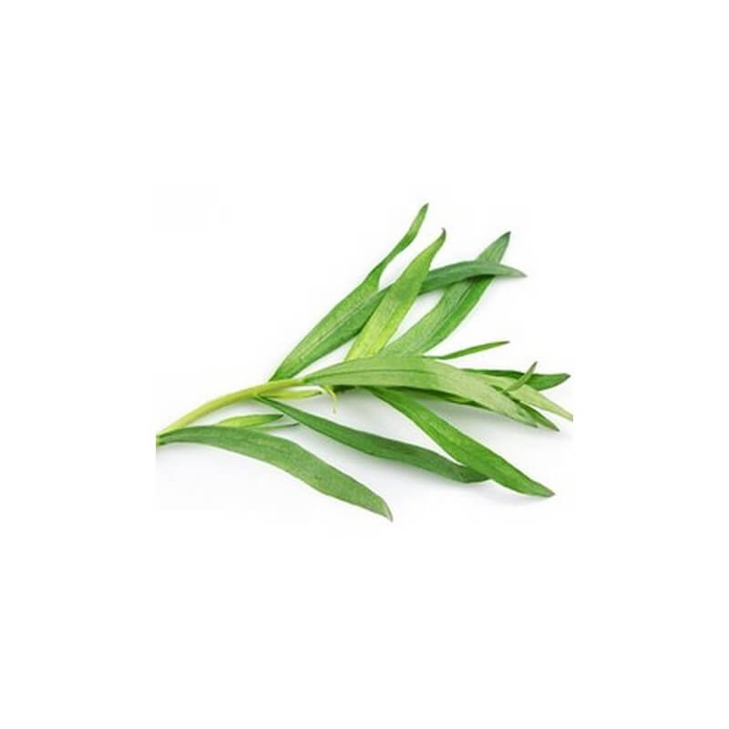 ESTR-00012-A-04 - HE Estragon 5 ml