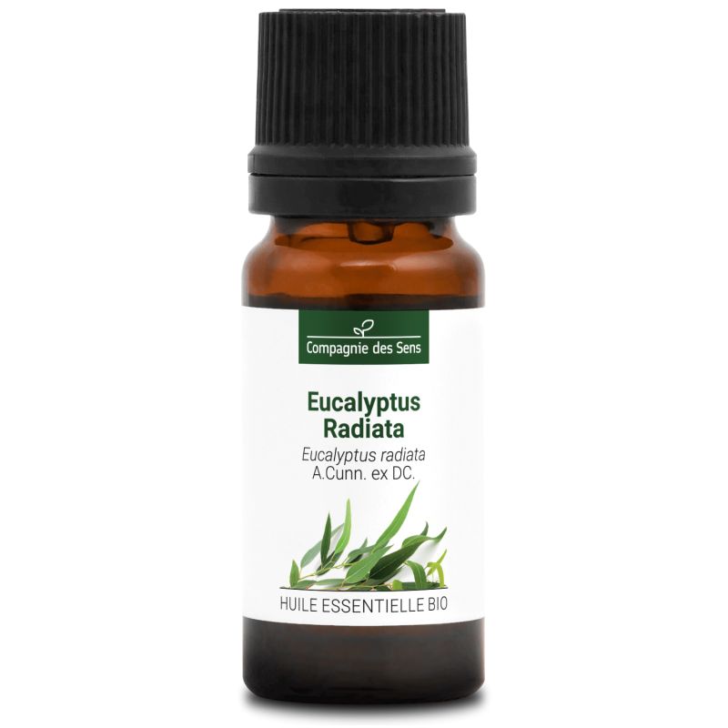 EURA-0321-05-Eucalyptus radiata 10 ml